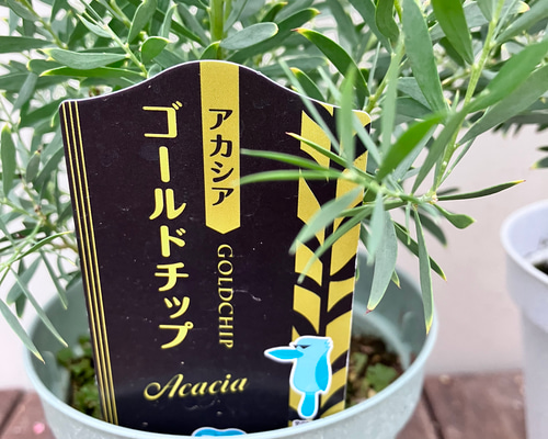 6ed2e6883ea8142f0fb9f8af14aa24