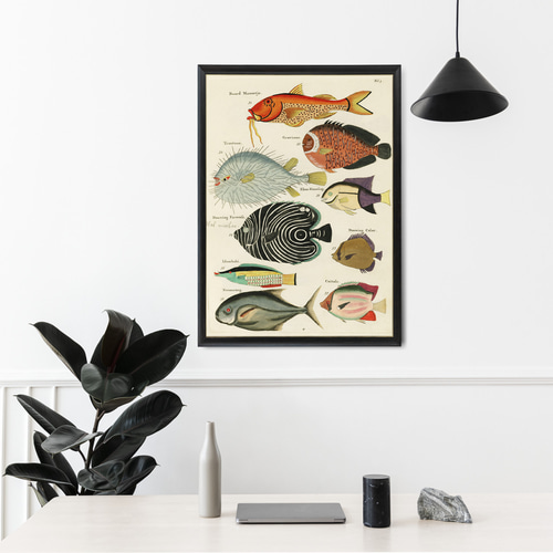 NO.462】魚の図鑑アートポスター☆水族館海マリン夏インテリア南国