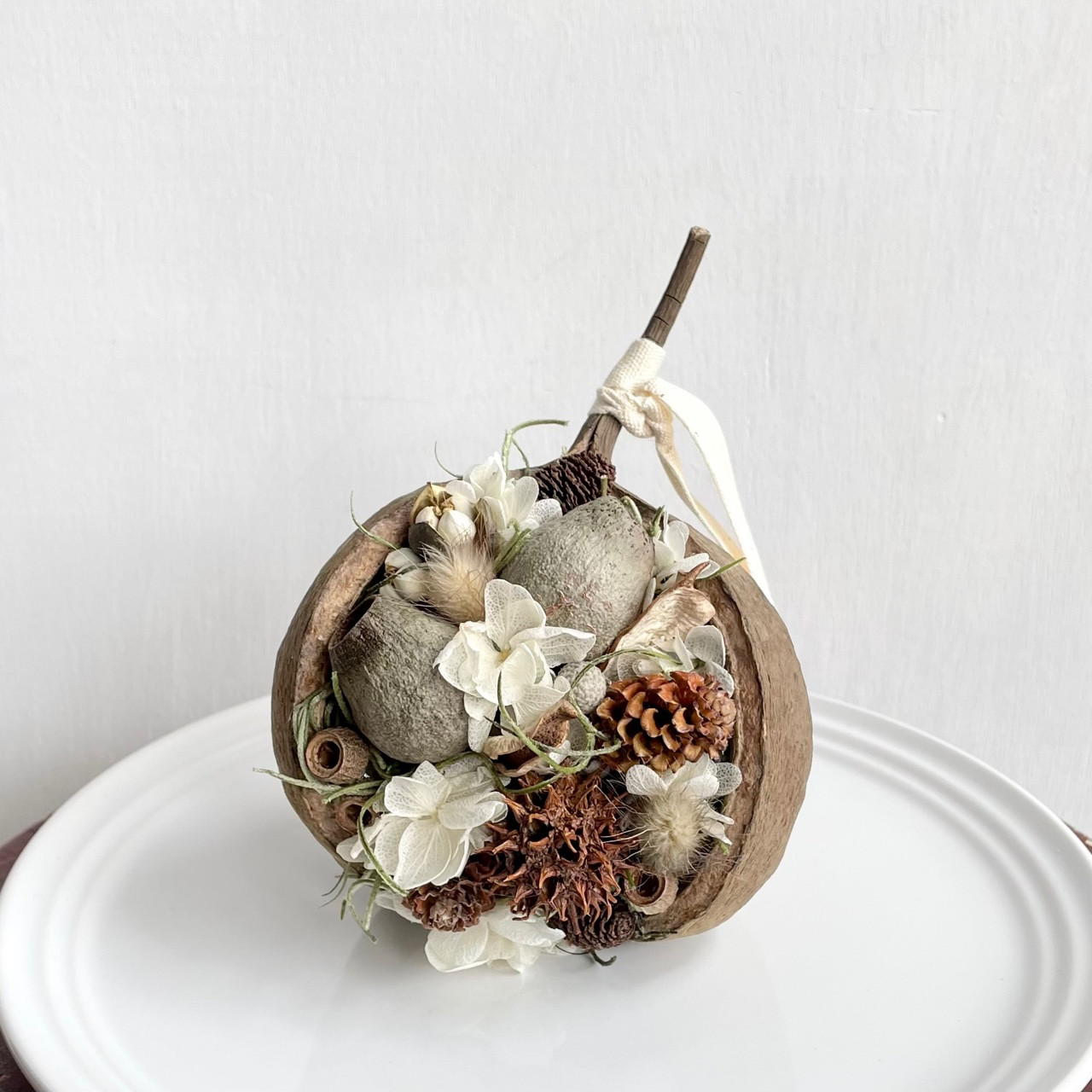 木の実❣️ベルガムナッツ❇️ドライフラワー 木の実❣️ベルガムナッツ❇️ドライフラワー