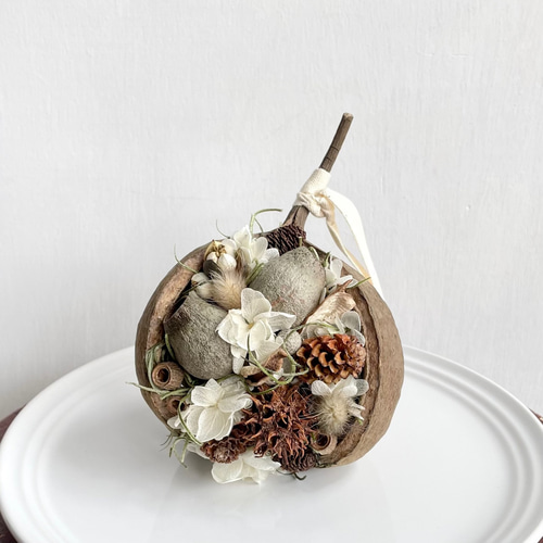 木の実❣️ベルガムナッツ❇️ドライフラワー 木の実❣️ベルガムナッツ❇️ドライフラワー