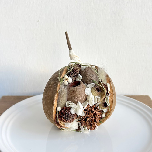 幸せを呼ぶ木の実・ブッダナッツ（ベルガムナッツ・ポプラコーン）S