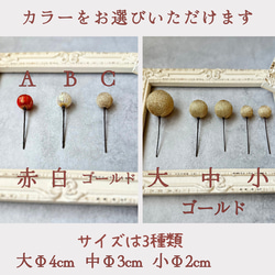  第11張的照片