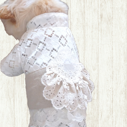 オーダー受付 】犬の浴衣 選べる組み合わせ！ レース 犬服