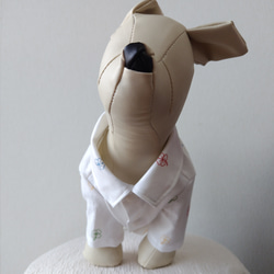 犬服・綿オックスプリント生地を使った小型犬サイズラグランスリーブシャツ 1枚目の画像