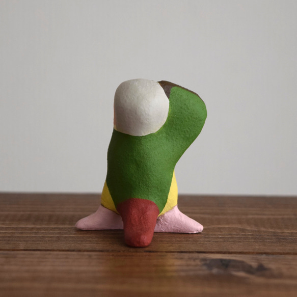 Dancing Conure 第7張的照片