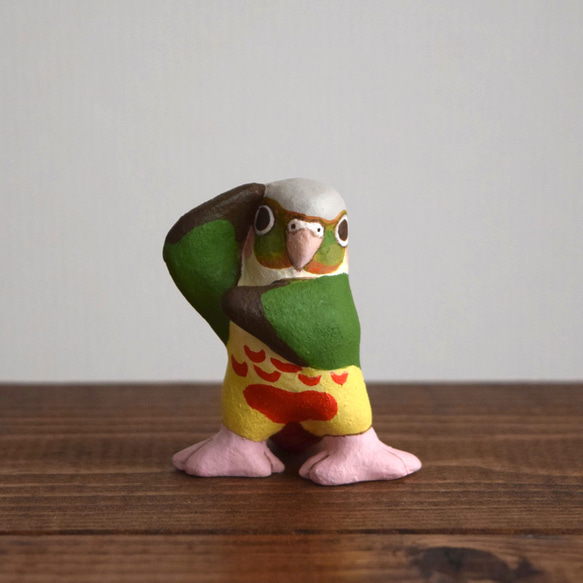 Dancing Conure 第2張的照片