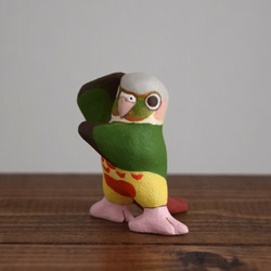 Dancing Conure 第5張的照片