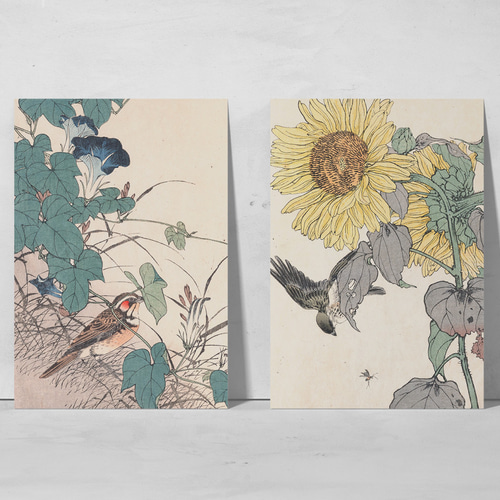 真作】絵画 日本画 花鳥図 涼やかな朝顔と翡翠の舞う和の
