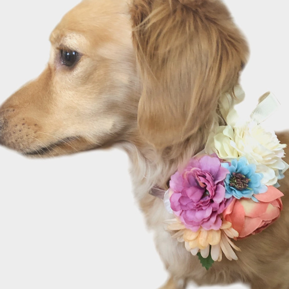 ブーケ﻿ チョーカー ネックドレス 小型犬 猫 ペット モデル アクセサリー ウエディング お祝い おしゃれ 飾り 4枚目の画像
