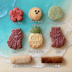[予約販売]沖縄の味が満載！夏の沖縄クッキー缶 ：8/10(木)発送 4枚目の画像