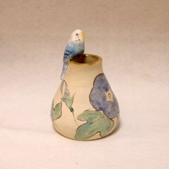 虎皮鸚鵡的牽牛花單花刺身（陶瓷鳥物） 第6張的照片