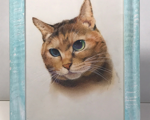 フレーム付き猫イラスト原画 イラスト シミズ ユタカ 通販