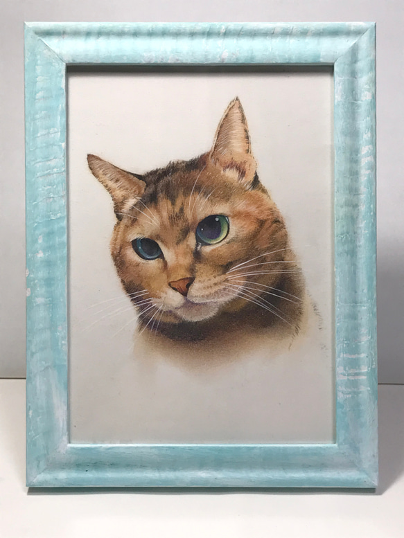 人気絶頂 フレーム付き猫イラスト原画 イラスト シミズ ユタカ 通販 絵画