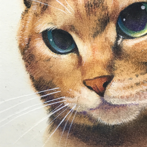 【驚きの値段】 フレーム付き猫イラスト原画 イラスト シミズ ユタカ 通販 絵画