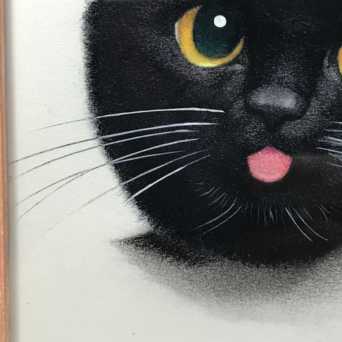 フレーム付き猫イラスト原画2 イラスト シミズ ユタカ 通販