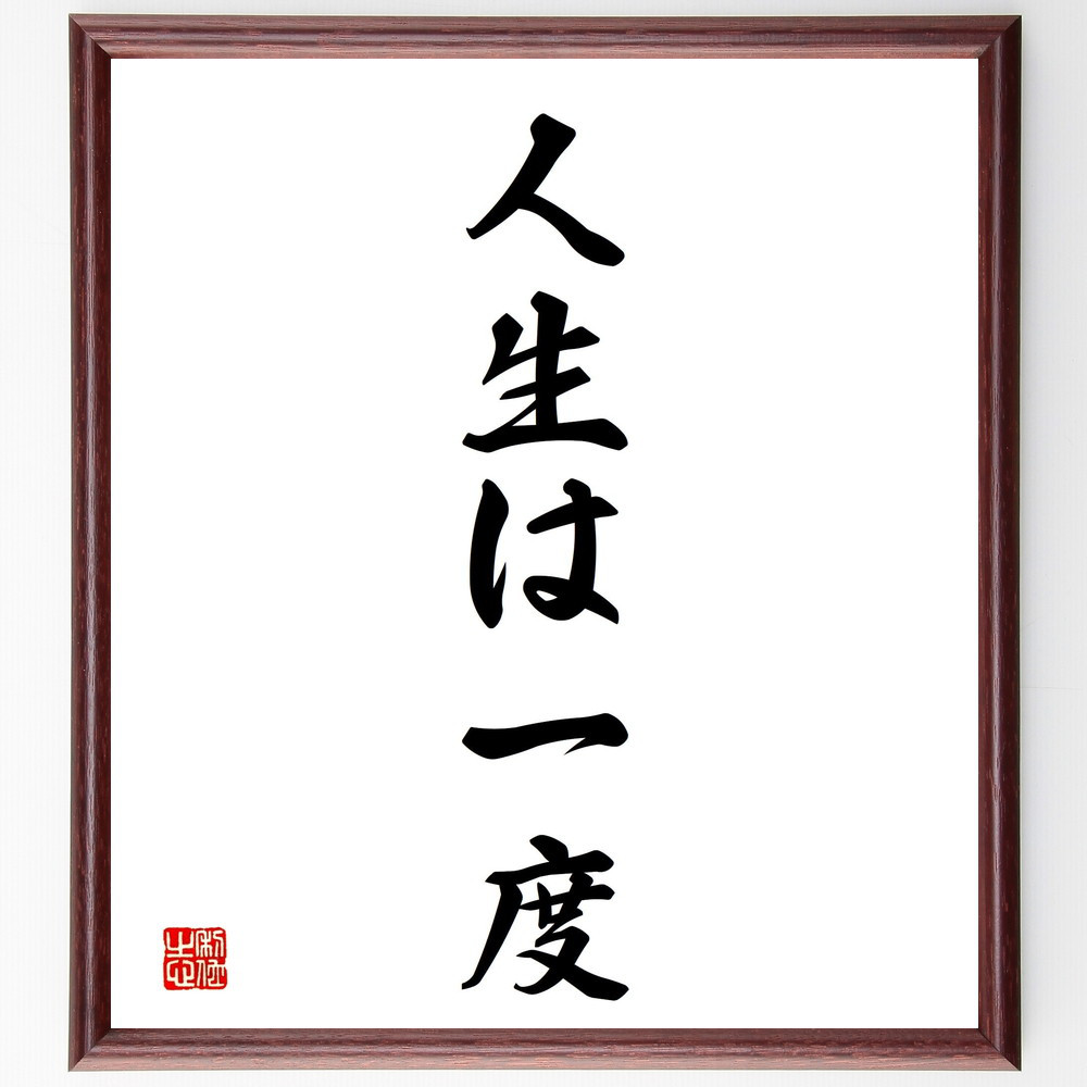 名言「人生は一度」手書き書道色紙額／受注後の毛筆直筆（V2349）