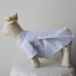犬服　綿ローンストライプ生地を使った小型犬サイズスタンドカラーシャツ 3枚目の画像
