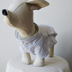 犬服　綿ローンストライプ生地を使った小型犬サイズスタンドカラーシャツ 2枚目の画像