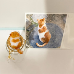 【猫ちゃんオーダー】にゃんねこ25工房オリジナル猫ヒゲ瓶 3枚目の画像