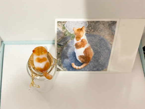 【猫ちゃんオーダー】にゃんねこ25工房オリジナル猫ヒゲ瓶 3枚目の画像