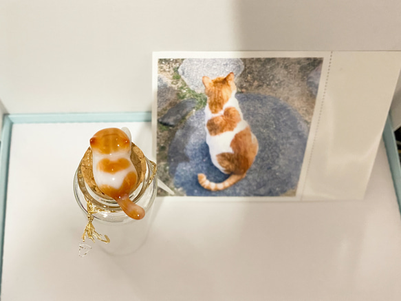 【猫ちゃんオーダー】にゃんねこ25工房オリジナル猫ヒゲ瓶 3枚目の画像
