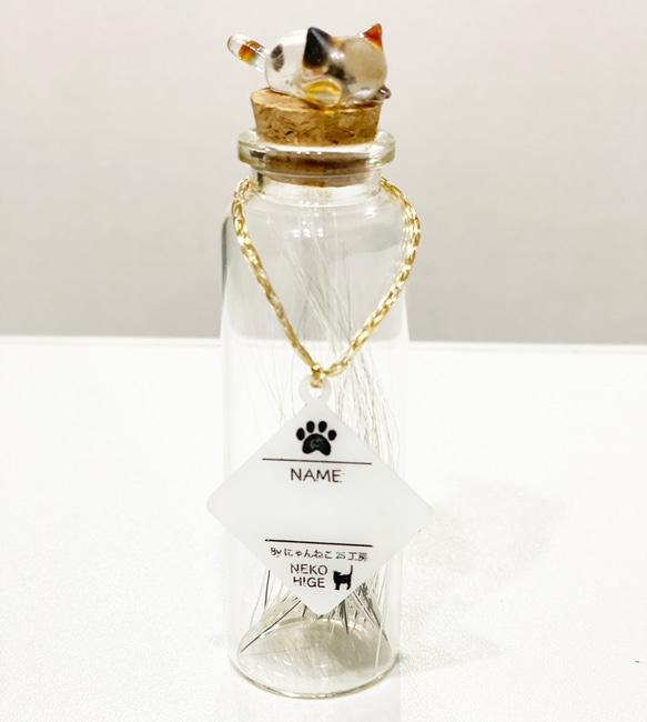 【猫ちゃんオーダー】にゃんねこ25工房オリジナル猫ヒゲ瓶 1枚目の画像