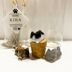 【猫ちゃんオーダー】にゃんねこ25工房オリジナル猫ヒゲ瓶 4枚目の画像