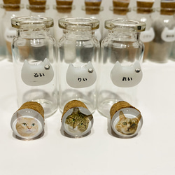 オリジナル猫毛ビン 3枚目の画像