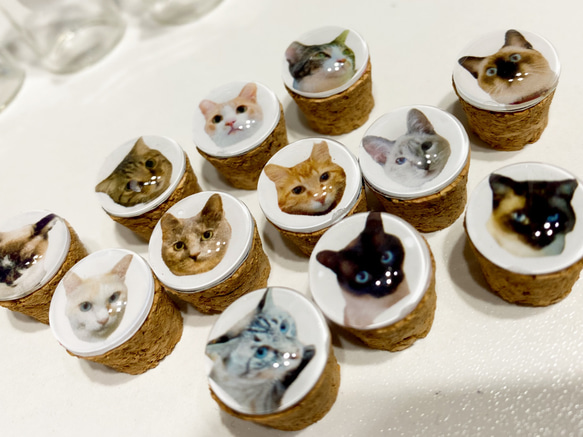 オリジナル猫毛ビン 2枚目の画像