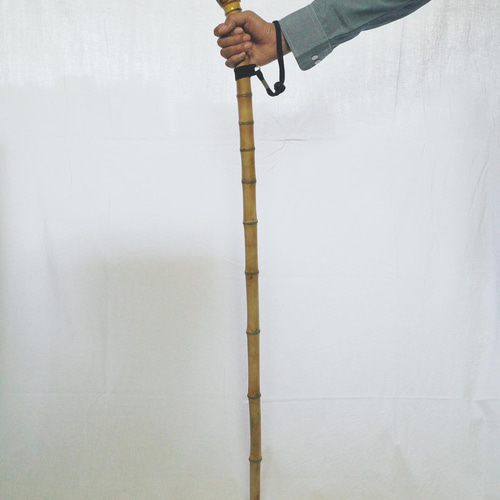 竹杖③_根頭曲がり 竹根鞭細工 漆塗り ねぶち 希少 国産 破竹根付