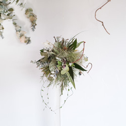 風にのるグリーンのフライングボール＊スモークツリーフライングボール