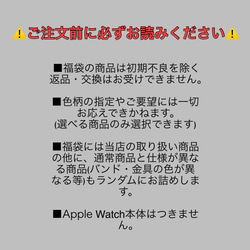 選べる 夏の福袋 9点セット　アップルウォッチ 　時計　バンド　applewatch　福袋　新作#mm00000202 19枚目の画像