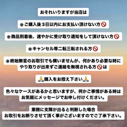 イルカも要るか & アクアマリン原石 たっぷり62g分 セット 天然石 