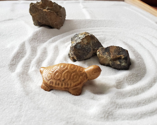 565ee07ba126fe0fe89bcbcfe9ff29