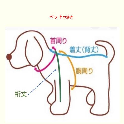 犬服 浴衣 豆絞りのゆかた 角帯ターコイズブルー（貝ノ口）送料