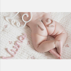 ウールレター 天使の羽 ハーフバースデー ニューボーンフォト momo