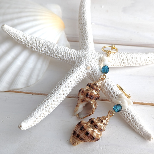 リアルシェル 巻貝とさざれ珊瑚の耳飾り ピアス（フック・チェーン