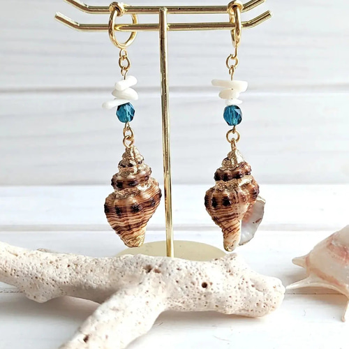 珊瑚 / 置物】巻貝 置物 アンティーク 貝殻　オブジェ　希少 本珊瑚 貝類 立体オブジェ ガラスケース 飾り サンゴ 巻貝 - メルカリ