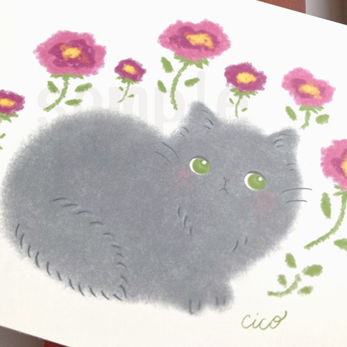 猫のイラスト》ポストカード4枚セット「花と猫」 イラスト わか
