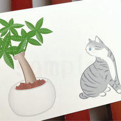 《猫のイラスト》ポストカード4枚セット「猫にやさしい観葉植物」 3枚目の画像