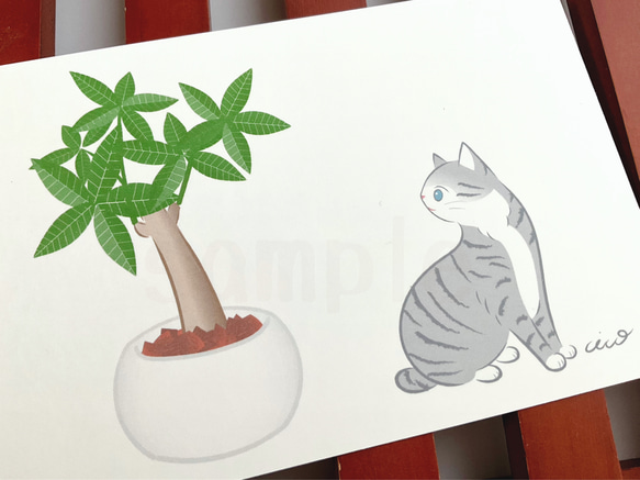 《猫のイラスト》ポストカード4枚セット「猫にやさしい観葉植物」 3枚目の画像