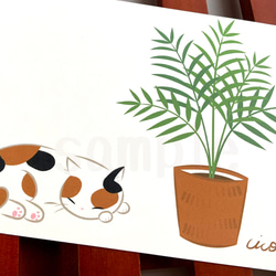 《猫のイラスト》ポストカード4枚セット「猫にやさしい観葉植物」 2枚目の画像