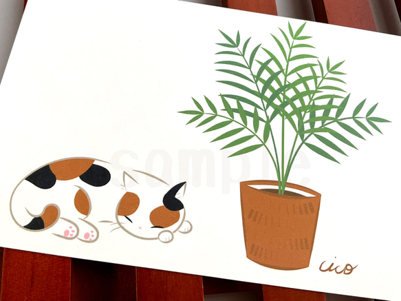 《猫のイラスト》ポストカード4枚セット「猫にやさしい観葉植物」 2枚目の画像