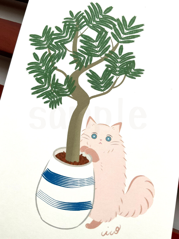 《猫のイラスト》ポストカード4枚セット「猫にやさしい観葉植物」 5枚目の画像