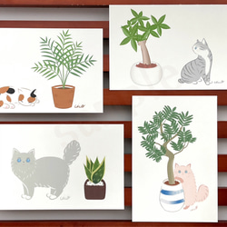 《猫のイラスト》ポストカード4枚セット「猫にやさしい観葉植物」 1枚目の画像