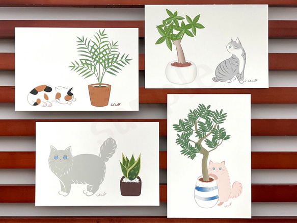 《猫のイラスト》ポストカード4枚セット「猫にやさしい観葉植物」 1枚目の画像