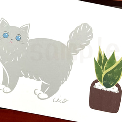 《猫のイラスト》ポストカード4枚セット「猫にやさしい観葉植物」 4枚目の画像