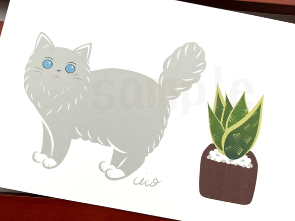 《猫のイラスト》ポストカード4枚セット「猫にやさしい観葉植物」 4枚目の画像