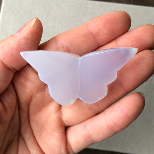 ブルーカルセドニー蝶スタンド付き共生ありちょう美しい