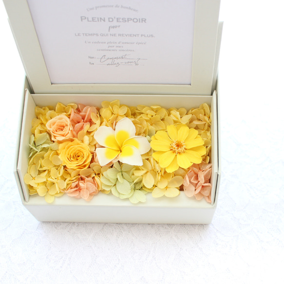 プルメリア フラワー フォトフレーム ボックス　誕生日　写真立て　花　プリザーブドフラワー　米寿　ペット　お供え 5枚目の画像